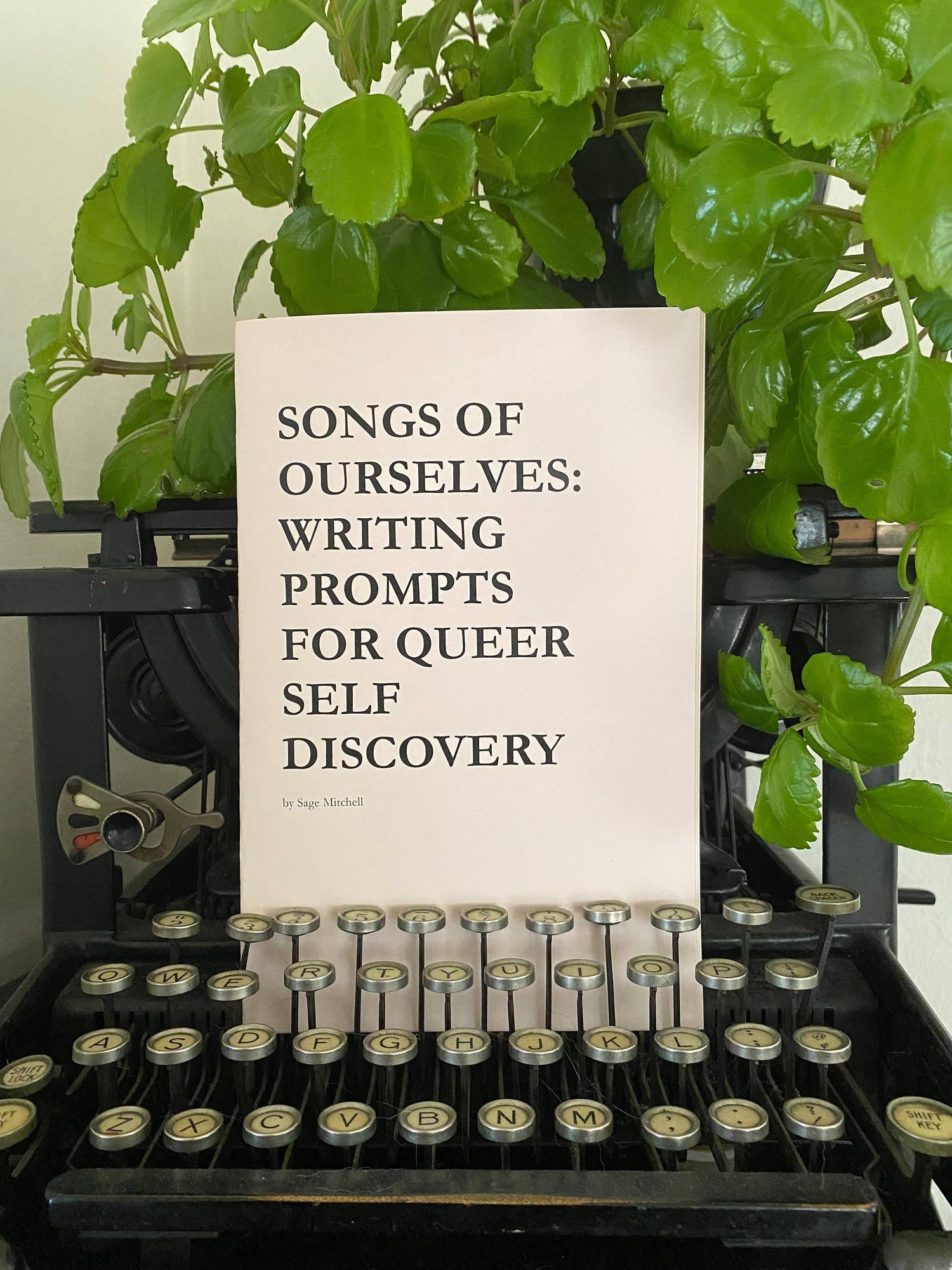 Zines