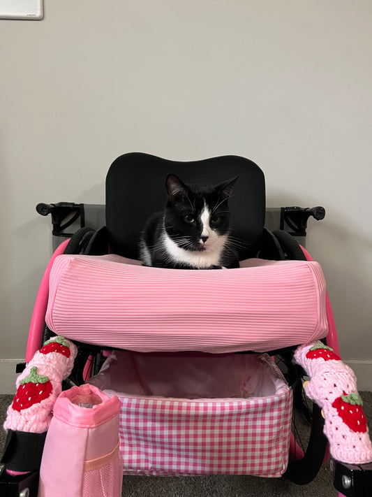 Custom under-seat wheelchair basket